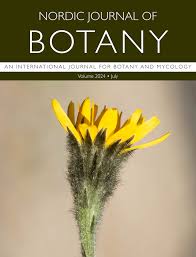 Image result for Triaspis hypericoides