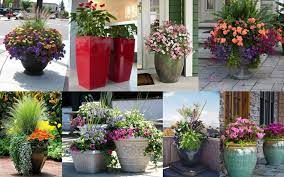 Fill the pot or planter about two thirds full with the potting soil. How To Plant Flowers In Large Planters Gardeninghow Com
