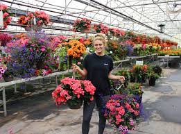 Hanging basket flowers for sale near me. Flower Hanging Basket Sale Anna S Garden Home Wellness