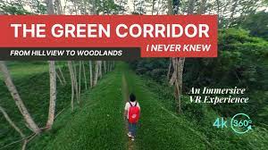 A wildlife corridor, habitat corridor, or green corridor is an area of habitat connecting wildlife populations separated by human activities or structures (such as roads, development, or logging). The Green Corridor In Singapore I Never Knew A 360 Vr Immersive Experience Youtube