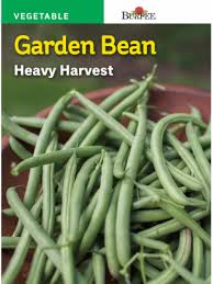 Maybe you would like to learn more about one of these? Burpee Heavy Harvest Garden Bean Seeds Green 1 Count Food 4 Less