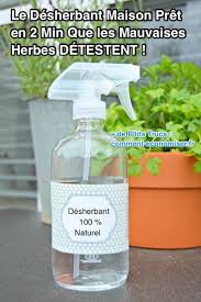 Comment Eliminer Les Mauvaises Herbes Sans Utiliser De Produits Toxiques Desherbants Faits Maison Desherbant Maison Et Desherbant Naturel