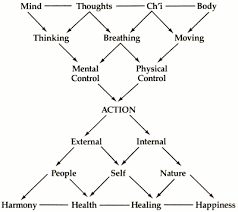 Figure Illustrates The T Ai Chi Fitness System Diagram From Ride The Tiger To The Mountain A Taijiquan Instruction Manual By Martin And Emily Lee