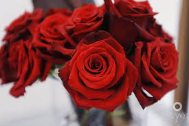 Richard brener & miriam salazar. What To Wear To A Night In Old Shanghai At Neiman Marcus Coral Gables World Red Eye World Red Eye