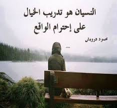 حكم عن الخيال اقوال واقتباسات عن الخيال والتخيل Arabic Poetry Cool Words Beautiful Quotes