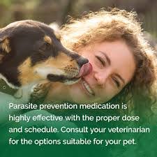 Marilyn Goad's Instagram, Twitter & Facebook