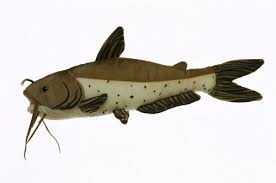10 Channel Catfish Fish Plush Stuffed Animal Toy Check Out The Image By Visiting The Link It Is Amazon Affiliate L Plush Stuffed Animals Animals Pet Toys