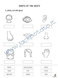 Se vuoi delle canzoni per insegnare i nomi delle parti del corpo in inglese, puoi usare dem bones, the bone dance di hannah montana. Parti Del Corpo Archivi Jack Potato