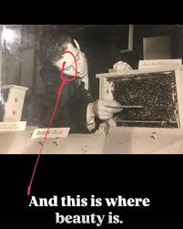 Fergal D'Arcy (@fergdarcy) • Threads, Say more