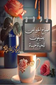 صور صباحية جديدة - المشير