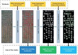 The index of prices received by fruit and nut growers dropped below last year's indices in june and has remained lower each month through october. Extracting Apple Tree Crown Information From Remote Imagery Using Deep Learning Sciencedirect