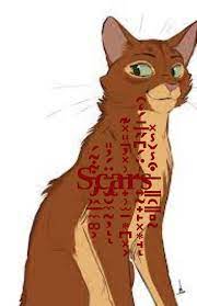 Scars Warriors Fanfiction Fandom