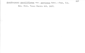 Image result for Scleria melanotricha