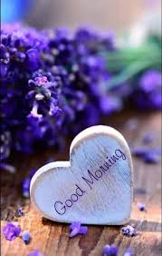 Top 40 Beautiful Heart Touching Good Morning Images Hindi Status In 2020 Good Morning Images Flowers Lovely Good Morning Images Good Morning Images