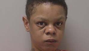 Marathon County Felony Gallery for April 11, 2024