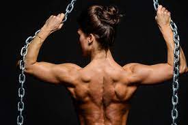 The muscles of your lower back are known as the erector spinae, which runs down either side of your spine. Silver Chain Woman Muscle Back Fitness Chains Bodybuilder 5k Wallpaper Hdwallpaper Desktop Muscle Women Muscle Building Women Female Back Muscles