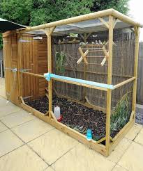 Outdoor Bird Aviary For Sale Nz Care Home Unveils Its New Aviary Local News And Sport In Nuneaton Large Bird Cages Aviary Bird Aviary