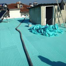 Image result for Monosis