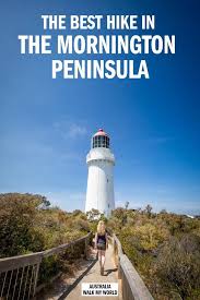 A Complete Guide To The Bushrangers Bay Walk To Cape Schanck One Of The Best In The Mornington Peninsula W In 2020 Oceania Travel Australia Travel New Zealand Travel