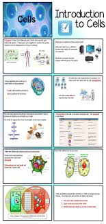 Created With Middle School In Mind This Smart Notebook Presentation Is A Basic Introdu Cells Worksheet Elementary School Science Elementary Science Activities