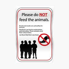9 x 6 aluminum indoor/outdoor sign; Dont Feed The Animals Posters Redbubble