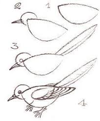 Pencil Easy Bird Drawing For Kids Soroka Ptica Bird Drawings Drawings Drawing Lessons
