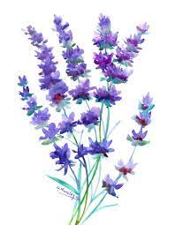 Pin On Watercolor Flowers