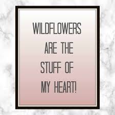 If you were a flower, i'd pick you. 170 Wildflower Quotes Ideas Quotes Wildflower Quotes Flower Quotes