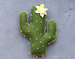 When growing cacti, you have to bear in mind is that each cacti variety needs its own set of care techniques to you might need to water more during the summer because temperatures are high. Cactus Pin Cushion Pattern Pretty Prudent