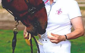 Dried beans, such as pinto, red, fava (however should be cooked or heat treated) watermelon rinds. Safe Treats For Horses Your Essential Guide Horse Hound