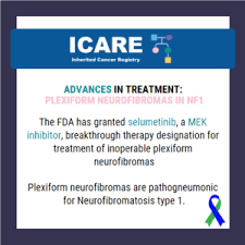 Image result for MEK Inhibitor