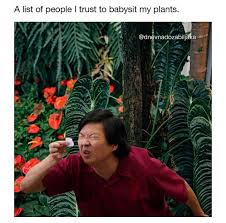 60 Plant Memes For You To Dig Through Gardening Memes Plant Jokes Gardening Humor