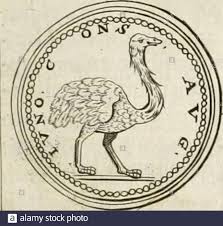 Celebrations often involve eating pie or holding pi recitation competitions. Fult Stockfotos Und Bilder Kaufen Alamy