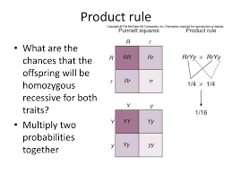 Includes worked examples of dihybrid crosses. Ppt Punnett Square 1 Gene Powerpoint Presentation Free Download Id 6493442