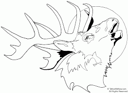 Free Printable Elk Coloring Pages Home Sketch Coloring Page Deer Coloring Pages Animal Line Drawings Coloring Pages
