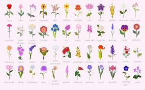 Maybe you would like to learn more about one of these? Your Garden Guide Top 50 Most Popular Flowers Infographic Stock Vektorgrafik Adobe Stock