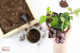 Check spelling or type a new query. Diy Mini Indoor Garden Container Gardening