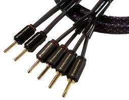 Cat 5 is around 10awg.yes diy cat 5 or 6 speaker cable does so if your speaker cables are prone to excessive vibrations(diy cat5 or cat6)you will lose that needed(emotion)and gain something you don't need. Tributaries Series 6 Bi Wire Speaker Cable With 2x4 Banana Plugs Selby