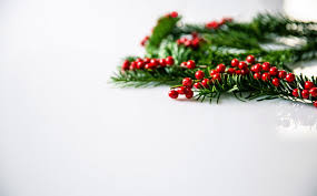 We did not find results for: Hd Wallpaper Christmas Holly Berries Background Aero White Star Vintage Wallpaper Flare