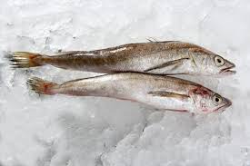 Il nasello, come molti altri pesci, è una fonte di amminoacidi essenziali, tra cui gli omega 3. Nasello O Merluzzo Pescheria Scelte Per Te