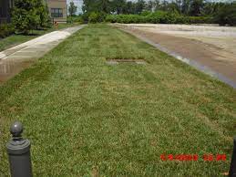 Market Station Kansas City Airpave Grass Fire Lane Grass Paving Urban Landscape Kansas City