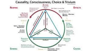 Causality Consciousness Natural Law And The Trivium Method