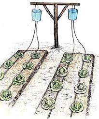 Just to let you know that your response and efficiency is second to none. Pin By Kris On 100 Under 100 The Women S Global Toolkit Backyard Garden Landscape Backyard Garden Design Garden Fencing