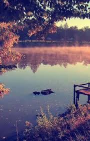 Leoaică tânără, iubirea este o poezie de nichita stănescu din volumul o viziune a sentimentelor, apărut în 1964. Eseuri Bac Leoaica TanÄƒrÄƒ Iubirea Nichita Stanescu 1964 Neomodernism Wattpad