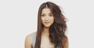 The issue lies with the. How To Repair Dry Frizzy Hair After Summer