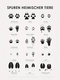 Als hilfe zum analysieren der spuren dient der huntermate. Kunstdrucke 15 Trittsiegel Mit Hidden Tracks Iris Luckhaus Illustration Design