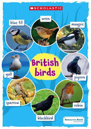 A Poster Of Common Garden Birds Found In The Uk Bird Garden Common Garden Birds Bird Poster