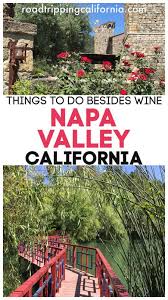 Enthusiasts of music, film, and art can find events, large and small, scattered throughout the region. 30 Exciting Things To Do In Napa Valley Besides Wine Roadtripping California