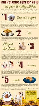 Here S Some Pet Care Tips In Transitioning To The Fall Season Barknbabies Grooming Boarding Phoenix Pet Care Tips Pet Care Pets