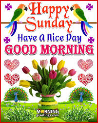 We did not find results for: 50 Good Morning Happy Sunday Images Morning Greetings Morning Quotes And Wishes Images